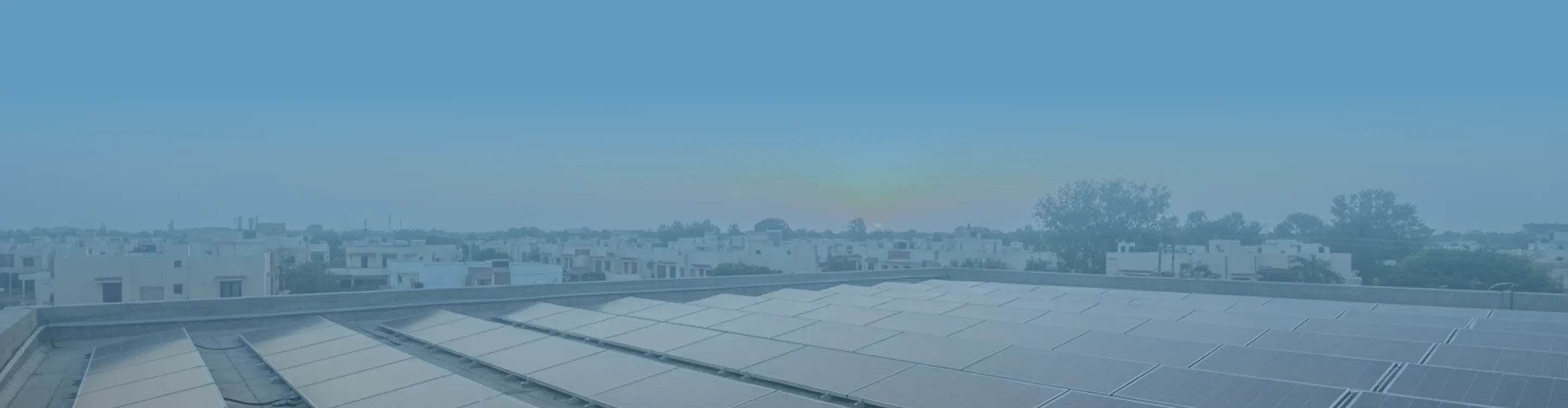 P Type TOPCon Series