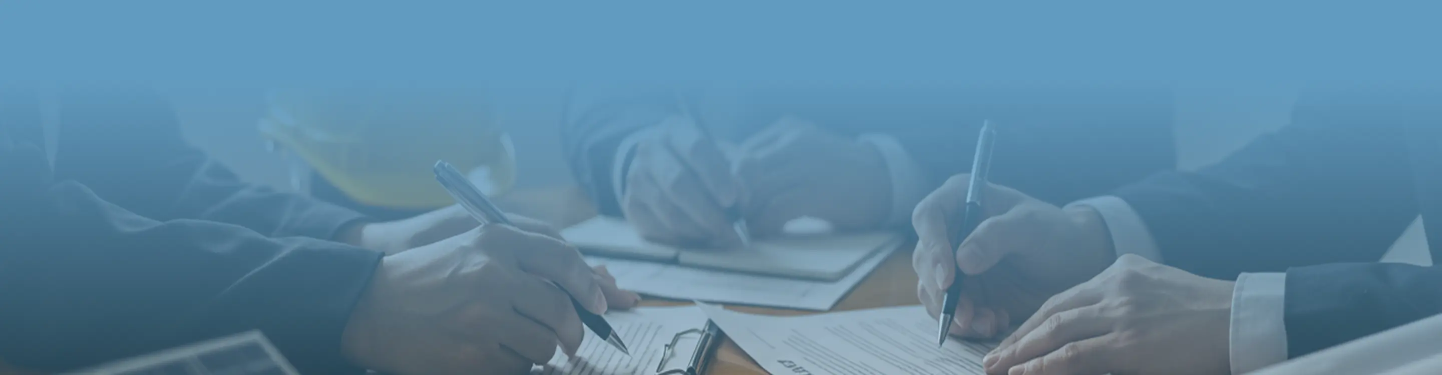 Project Ally Program